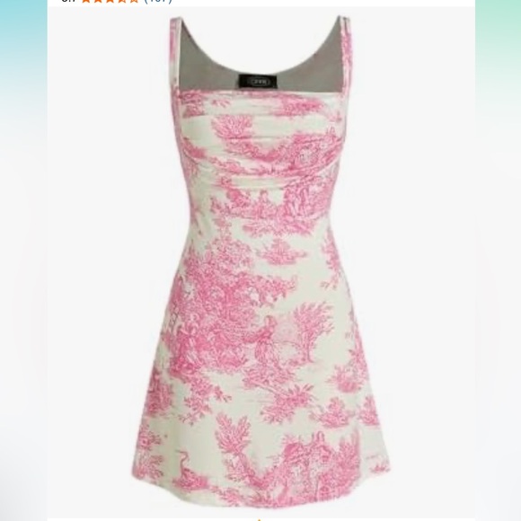 Cider Dresses & Skirts - CIDER Toile De Jouy Ruched Mini Dress